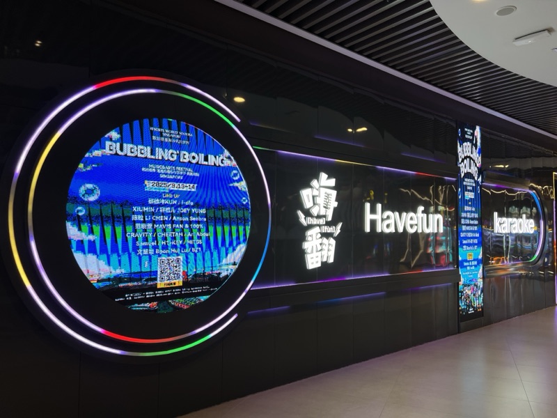Havefun karaoke LED 屏